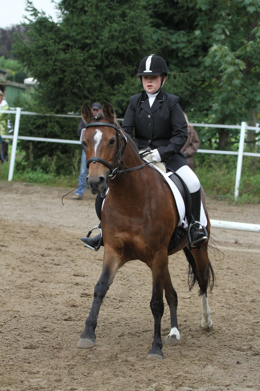 Bild 861 - WBO-Turnier am 18.9.11